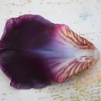 Ирис бородатый из холодного фарфора