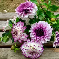 Георгин из холодного фарфора