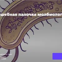 Волшебная палочка молбиолога