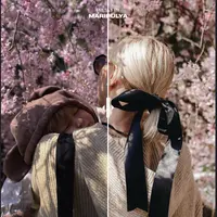 200+ Лучших пресетов для Lightroom