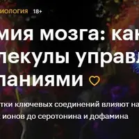 Химия мозга: как молекулы управляют желаниями