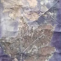 Экопринт на хлопке и льне