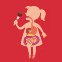 Путешествие фрикадельки. Научное шоу для детей