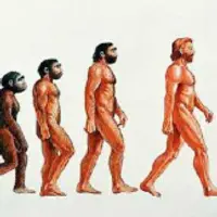 Происхождение человека. Интерактивная лекция для детей