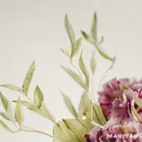 Гортензия в стиле Барокко