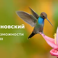 Супервозможности животных