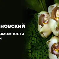 Супервозможности растений