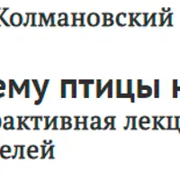 Почему птицы не падают: интерактивная лекция