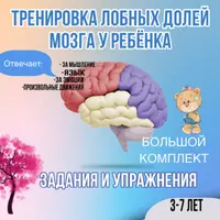 Тренировка лобных долей у ребенка и Нейро-домино для развития мозга