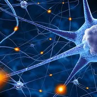 Квантовый Турбоускоритель для любой сферы жизни