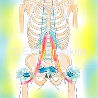 Поясничная мышца по методу Франклина