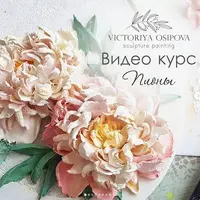 Роза David Austin и Пионы