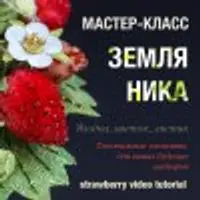 Мастер-класс по земляничке