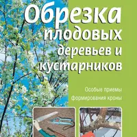 Обрезка плодовых и декоративных деревьев и кустарников
