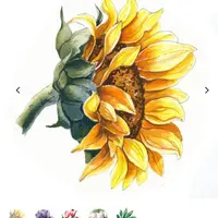 Мини-курс "Цветы"