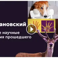 Главные научные открытия прошедшего года