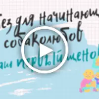 Ликбез для начинающих собаколюбов. Первый щенок