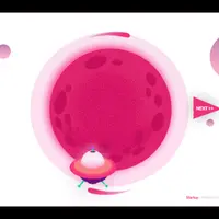 2020 Startup & Multipurpose Premium PowerPoint Template