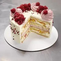 Конструктор бисквитных и муссовых тортов