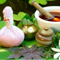 Школа Аюрведы. Бизнес курс