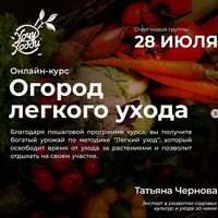 Огород легкого ухода