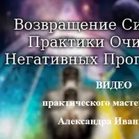 Сила Рода. Практики очищения негативных программ Рода