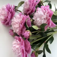 Садовый пион из холодного фарфора