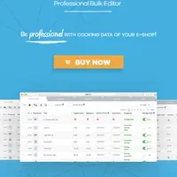WOOBE - WooCommerce Bulk Editor and Products Manager Professional