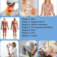 Остеопатия и мануальная терапия: функциональные техники