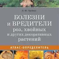 Болезни и вредители роз, хвойных и других декоративных растений