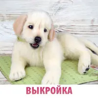 Выкройка Лабрадор с открытым ртом