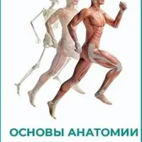 Основы анатомии
