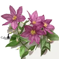 Клематис вафельный