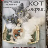 Мастер-класс КОТ Сократ