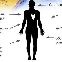 Метод Универсальных Трансформаций