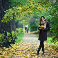 Обновлённые осенние пресеты