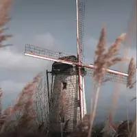 Накшатра Свати. Глубокий анализ