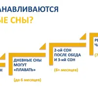 Как наладить дневной сон