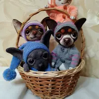 МК по вязанию крючком Чихуашки-близняшки и одежды спицами