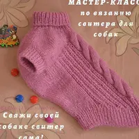 Свитер для собак