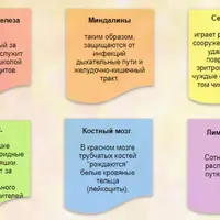Древние техники стремительного омоложения организма и восстановления здоровья