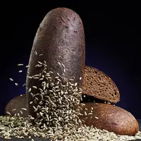 Концентрированная молочнокислая закваска - КМКЗ