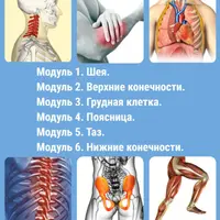 Мануальная терапия мышечно-скелетных дисфункций