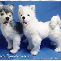 Мастер-класс Лайка самоедская, Хаски