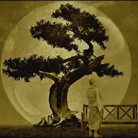 Улучшенное целебное яйцо Хакуина