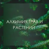 Алхимия трав и растений