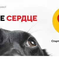 Храброе сердце