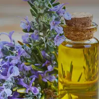 Арома-марафон здоровых привычек