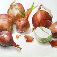 Идеальная палитра