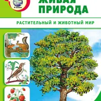 Окружающий мир: Живая и неживая природа, мир человека